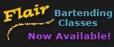 Flair Bartending Classes Special